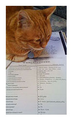 The cat SeaLegs involved in researching Alaska maritime history