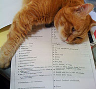 The cat SeaLegs resting from her research efforts in Alaska maritime history