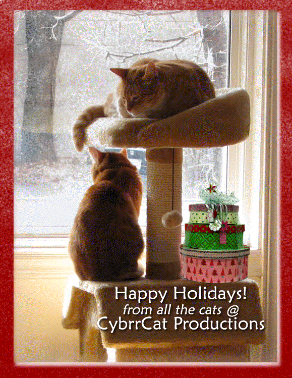 SeaLegs and Horatio relax as the snow gently falls in Halifax.