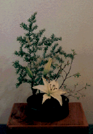 Fran's ikebana for Level B.